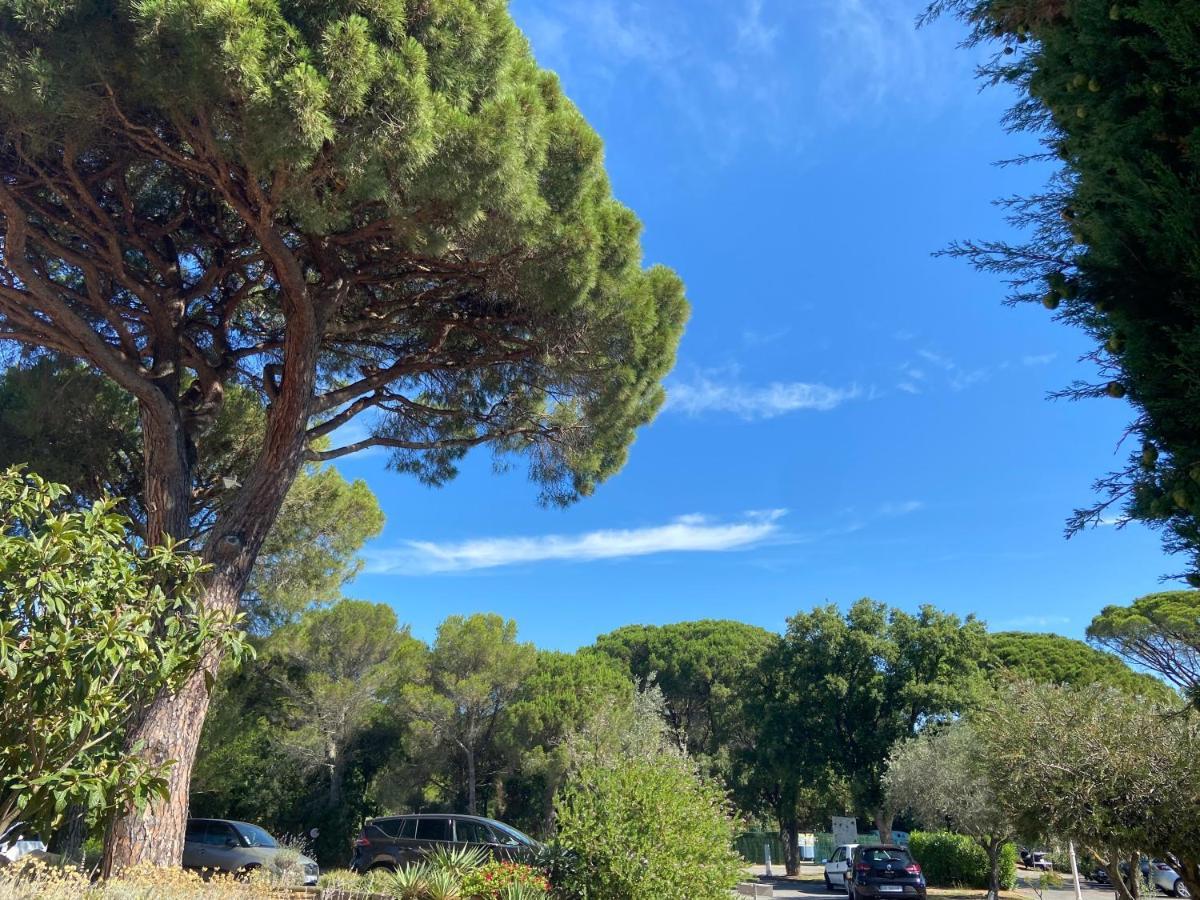 Domaine Valescure Appartement 1 Ou 2 Pieces Vue Jardin Ou Piscine Saint-Raphaël Εξωτερικό φωτογραφία