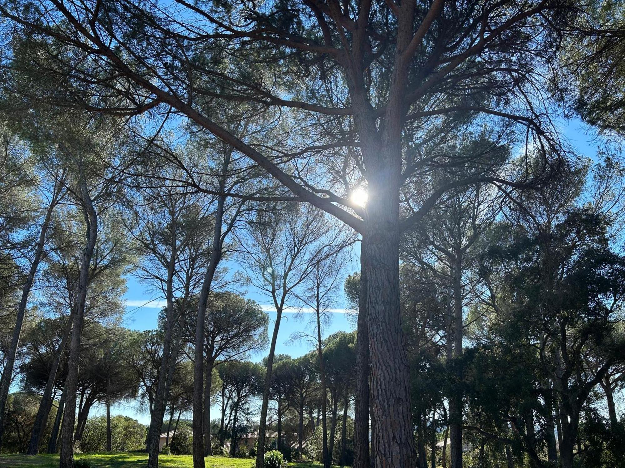 Domaine Valescure Appartement 1 Ou 2 Pieces Vue Jardin Ou Piscine Saint-Raphaël Εξωτερικό φωτογραφία